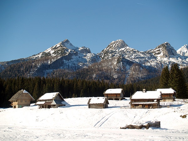 Planina Javornik.jpg